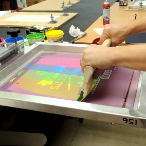 Mesh Silk Screen Printing Mesh 100% Polyester