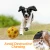 Import Mewajump Dog Toy Thinkerpet Pet Dog Funny TPR Material Molar Teeth Cleaning Squeaky Chewing Toy Ball from China
