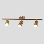Modern bronze storefront linear led track light