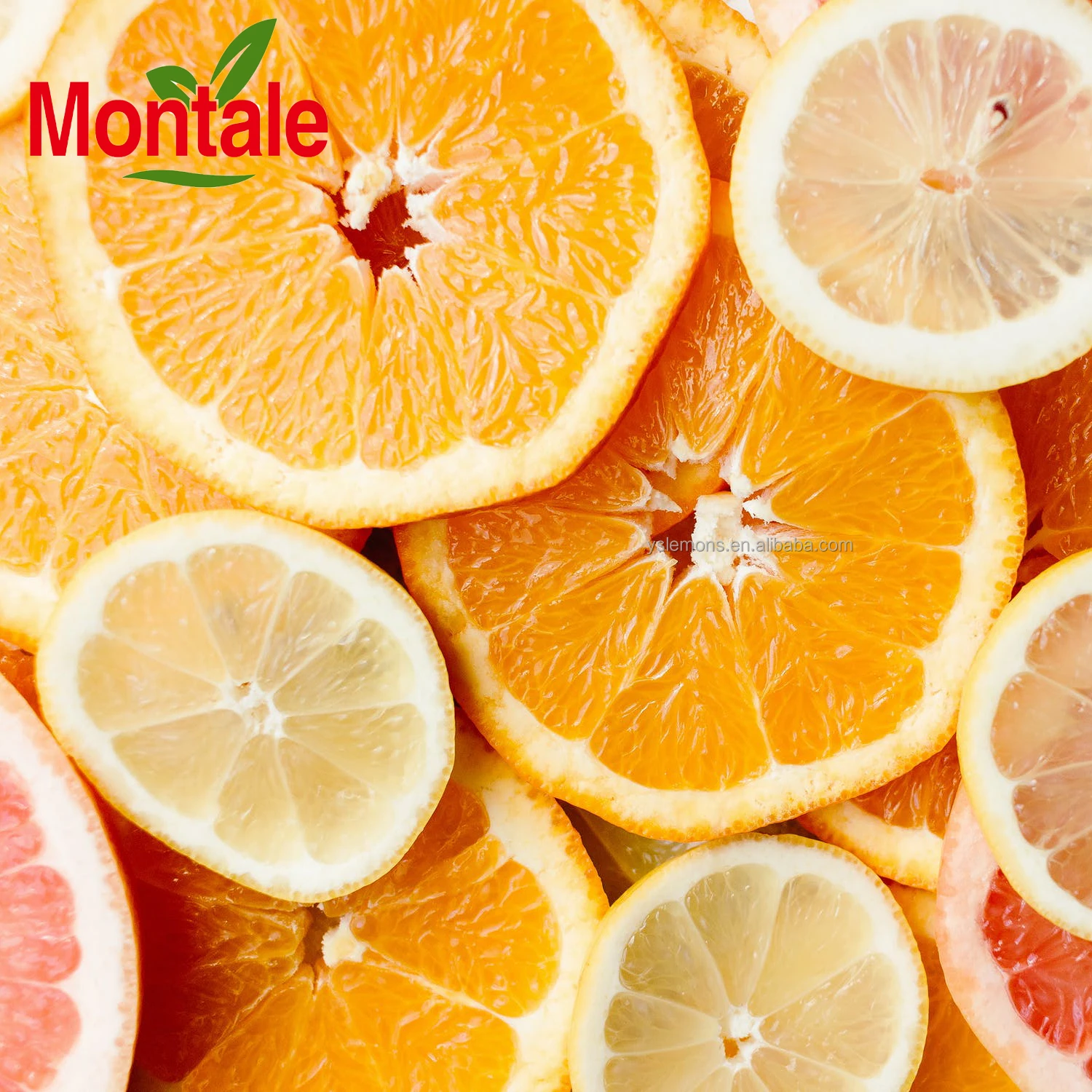Montale Fresh Fruit Orange  Bulk Origin In China Fresh Summer Orange Cheap Oranges