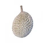 Musang King Frozen Whole Fruit