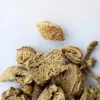 Natural dried Adenophora tetraphylla roots slices for herbal medicine