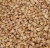 Import Natural Roasted Buckwheat For Sell from South Africa