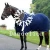 Navy Waterproof Breathable Cooler Horse Rug Cover