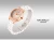 Import New Bosck 1108 Brand Lady Fashion Casual Ceramic Strap Japanese Movement Quartz Shellfish Hand Watch from China