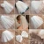 Import New bridal veil Korean short wedding dress small veil headdress super fairy from China