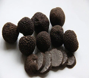 New cap Wild Fresh Perigord truffle
