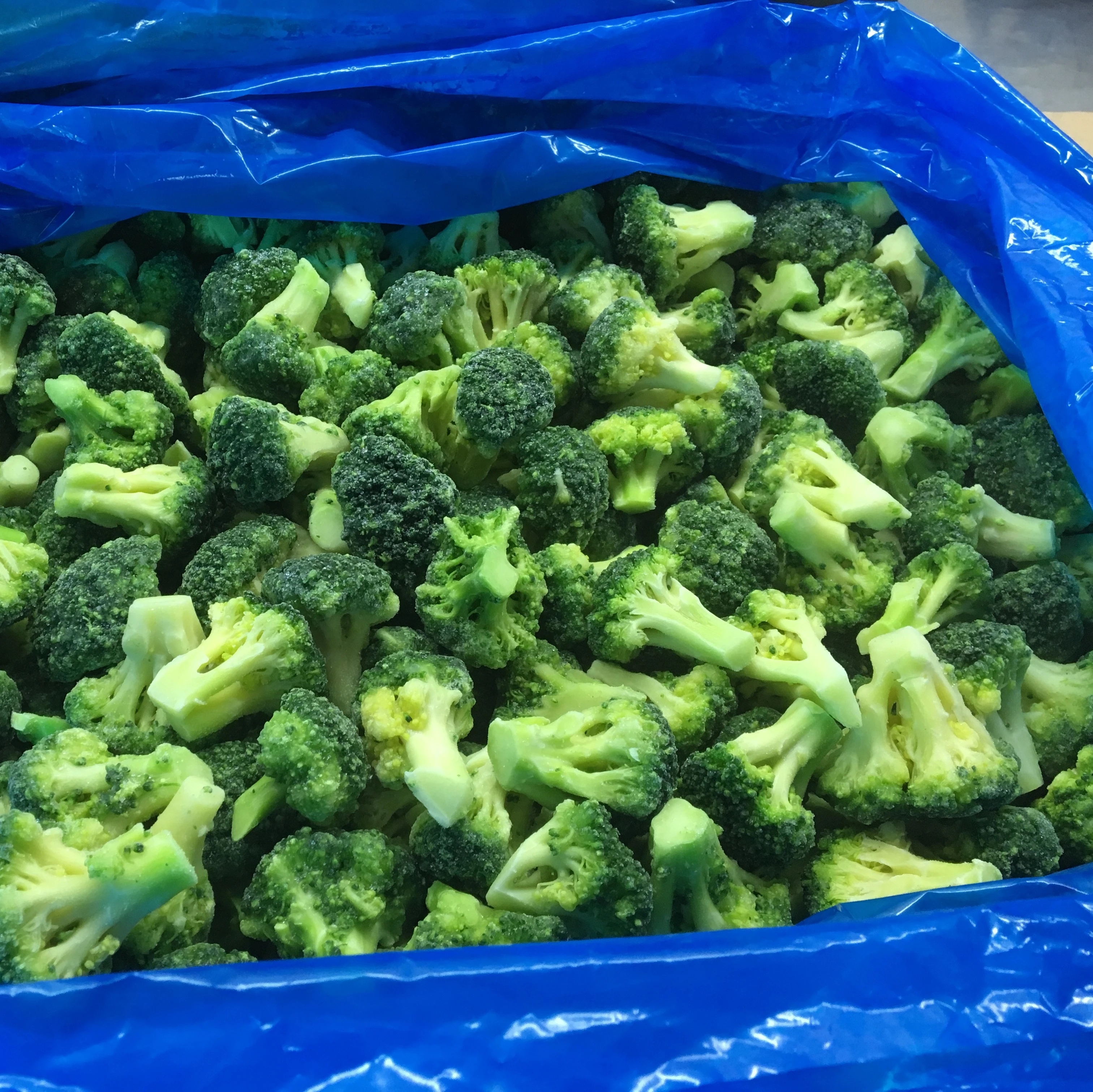 New Crop Quality Assurance IQF Vegetables Frozen Broccoli