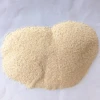 new crop spice products dehydrated garlic 40-80 mesh top quality