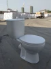 New design ceramic bathroom washdown sanitary ware two piece wc toilet