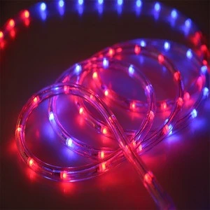 New product outdoors color changing led rope light