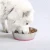 Import New style 5.7in high quality fancy pet bowls from China