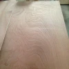 Nice Quality Laminated Wood Block Board