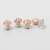 Import Nolvo World rose gold 6*4.5 mm decorative mushroom head studs spikes rivets for leather craft clothing shoes bags accessory from China