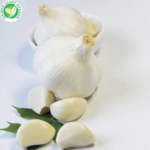 organic 10kg packing garlic fresh snow white garlic