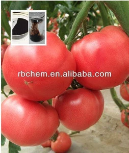 organic fertilizer for tomato K humate