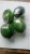 Import Organic Fresh Green Papaya from Sri Lanka