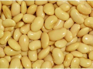 Organic Large Butter Beans / Large White Kidney Beans/Butter Beans