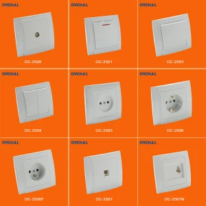 OUCHI New Product White 2 Gang Wall Mountable Light Power Switch