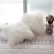 Import OurWarm New Luxury Series Merino Style 18 x 18 inch White Fur Throw Pillow Case Cushion Cover for Sofa Bedroom from China