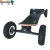 Import Outdoor sport new design elegant longboard 2000w dual motors electric skateboard deck with rubber wheel from China