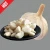 Import Peeled Garlic from China