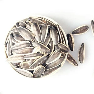 peeled sunflower seeds / sunflower seeds 5009 from Inner Mongolia / wholesale Chinese sunflower seeds