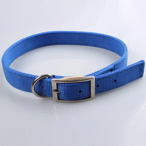 Personalized diy pet products bright nylon adjustable webbing dog collar for hunting dog