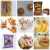 Import Pillow Type Horizontal Chocolate Sandwich Cheese Biscuit Energy Bar Bakery Cookies Packing Machine from China