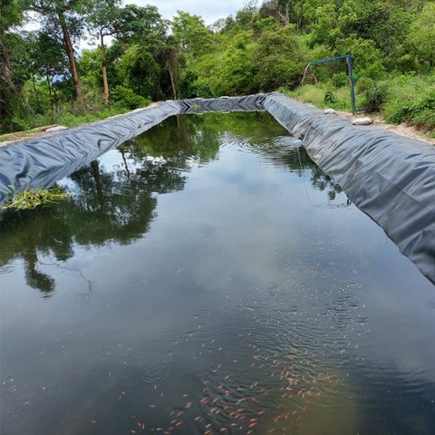 plastic smooth fish pond farming tank dam liner pool pond liner hdpe Geomembrane