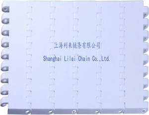 plastic transmission Chain for food and beverage industry