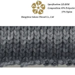 Polyester Nylon Blended Yarn for Knitting/Weaving