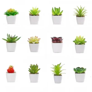 Pottery Clay Artificial Succulent Plants Succulent Plants Small Size Plastic Bonsai For Living Room Home Decorative