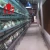 Import Poultry Breeding Equipment H Type Egg Chicken Layer Battery Cages Laying Hens from China