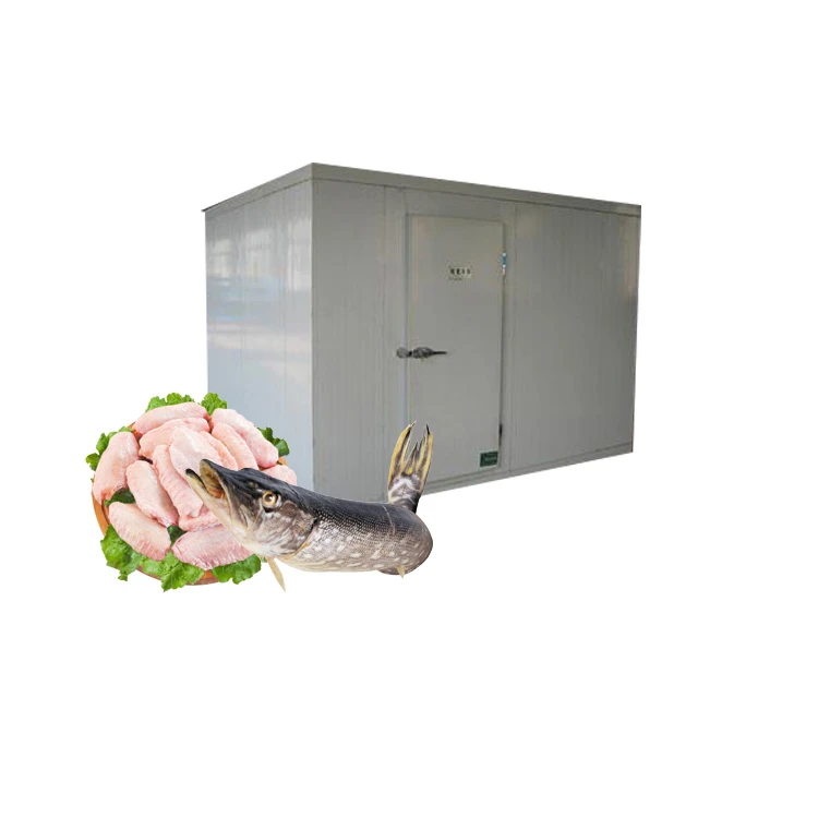 Price Shock Mini Cold Storage Portable Blast Freezer With PU Panel With Condensing Units For Fish Chicken Walk In Cold Chambers
