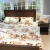 Import Printed Flannel Fleece Flower Luxury Blanket Bed Sheet Comforter Set Wholesale 100% Polyester 4 Pcs Adult Chinese Style 60 Plant from China