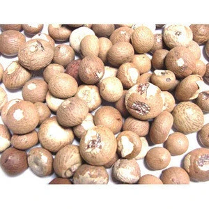 Quality Areca Nut-Bulk Betel Nuts/Betel Nut Supari Cut Finely Cut For Sale At A Good Price