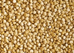 QUINOA GRAINS AND SEED AVAILABLE