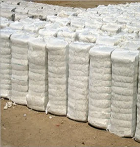 Raw Cotton in bales for sale