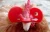 Import Red Anti-pecking Poultry Equipment Chickens Eyeglasses Plastic Mountain Chicken eye protector Poultry Eye Glasses from China