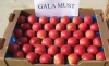 Red Delicious Gala Apples / Apples, Red apples,Granny Smith Apples