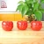 Import Refreshing Colors Beautiful Designed Tomato Kitchen Timer from China