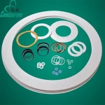reinforced glass fiber PTFE Gasket
