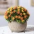 Import Retro Bonsai Simulation Plant Ornaments Artificial Tree Flower from China