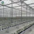 Import Sainpoly multi-span plastic shed film greenhouse structure with irrigation&hydroponics eqiupment from China