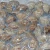 Import Seafood Mix Of Frozen Seafood  Clam Meat Frozen Seafood from China