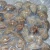 Import Seafood Mix Of Frozen Seafood  Clam Meat Frozen Seafood from China