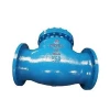 sewage ANSI/ASME B16.34 low pressure 800 pornd grade check valve