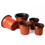 Simple thickened two-color pot disposable plastic flower nursery pot large nutrition bowl cultivation pot succulent planting