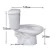 Single Flush Standard Height Elongated Toilet Bowl